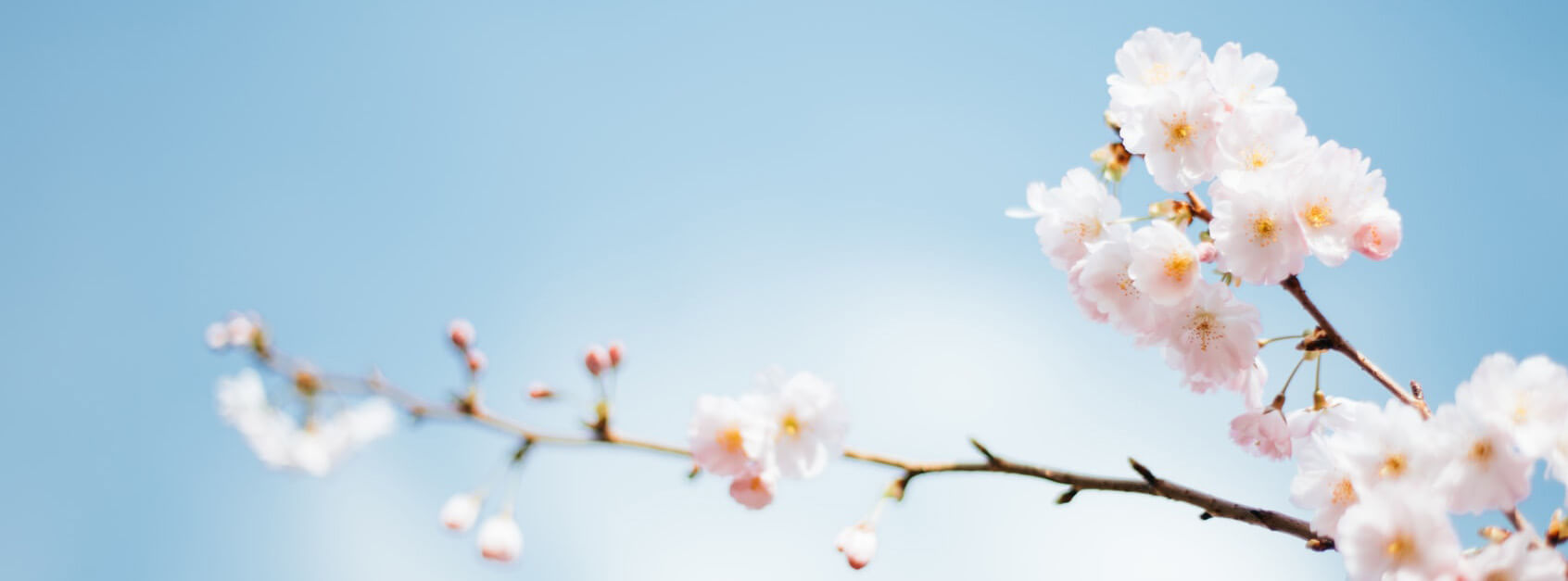 春翌岍